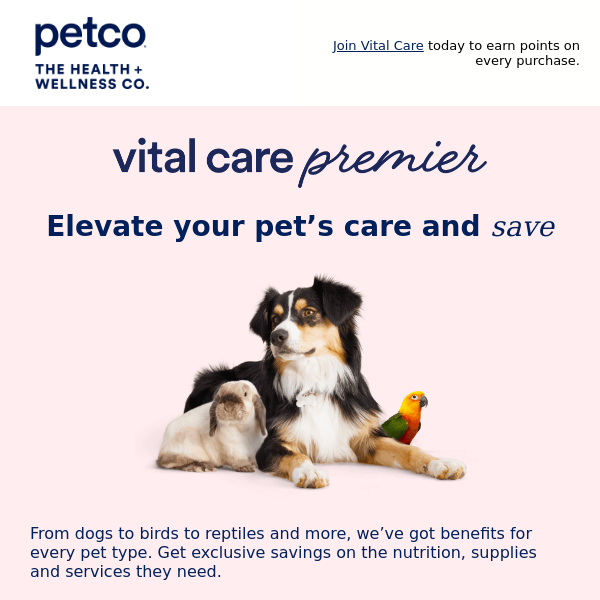 Save big while taking great care of your pet