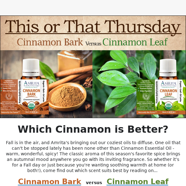 Learn Which Cinnamon is Better for You!