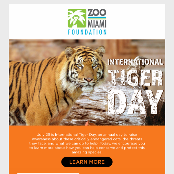Adopt a Tiger for International Tiger Day!