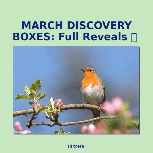 March Vegan Boxes: Full Reveals 🍂