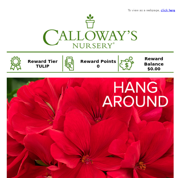 Save 20% on All Hanging Baskets!