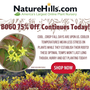 A BOGO Sale So Amazing You'll Want to Plant All Weekend!