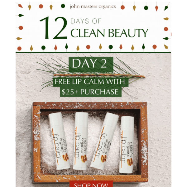 12 Days Of Clean Beauty: DAY 2 ❄️