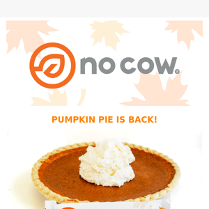 PUMPKIN PIE IS BACK 🎃