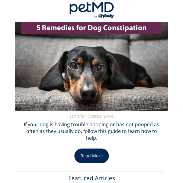 5 Remedies for Dog Constipation