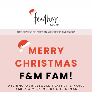 Merry Christmas F&N Fam 🎅🎄