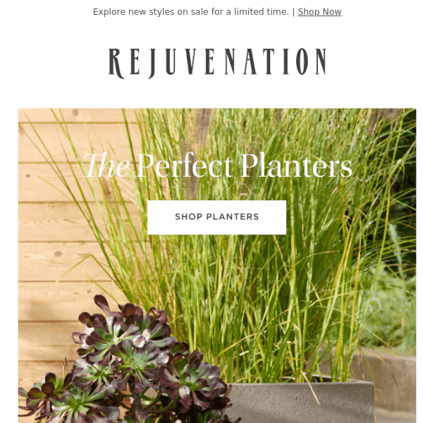 Get ready for warmer weather with a new planterscape