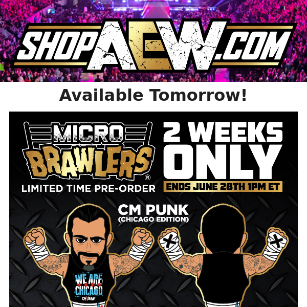 Cm Punk Micro Brawler AEW Chicago Edition