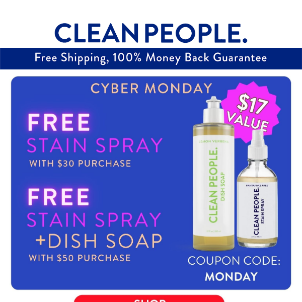 📣 FREE Stain Spray & Dish Soap ($17 Value) Cyber Monday Sale