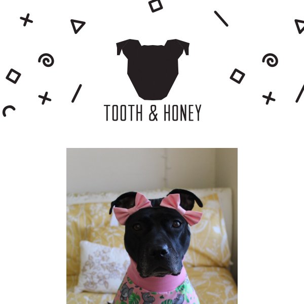 Tooth and clearance honey dog clothes