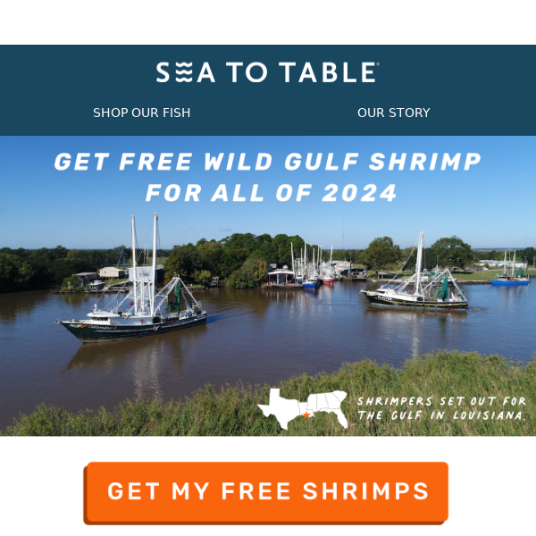 Why Choose Wild Gulf Shrimp?