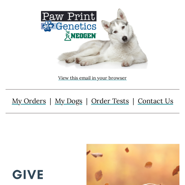 What are you waiting for, Paw Print Genetics?