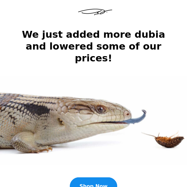 More Dubia Just Added + Lower Prices!