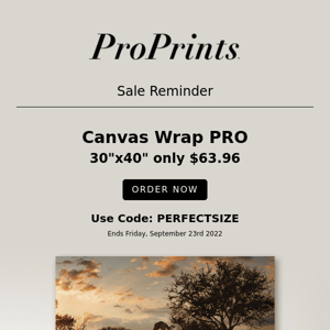 20% off 30x40” Canvas Wrap PRO