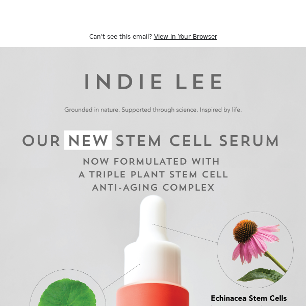 Discover the power of Plant Stem Cells 🌿