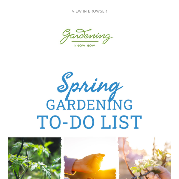 Spring Gardening Checklist + Spring Hydrangea Care + Vegetable Garden Basics 