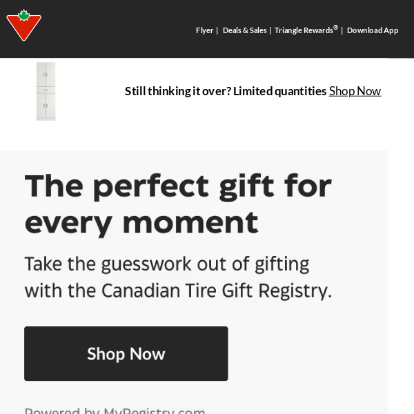 The Canadian Tire Gift Registry: The better way to give