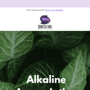 Alkaline Appreciation Day - Appreciate Alkalinity🌿