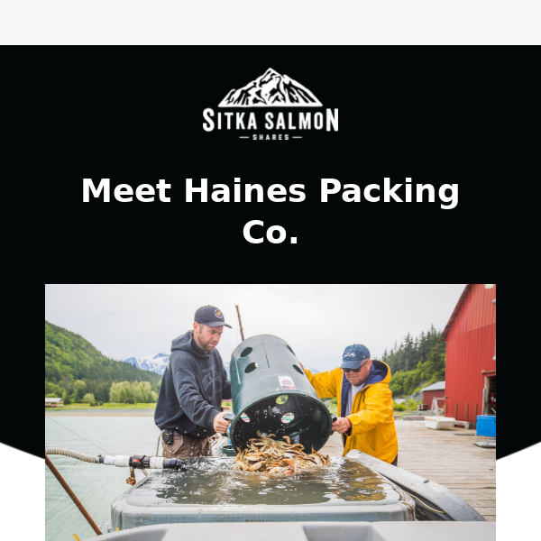 The Faces of Haines Packing Co.