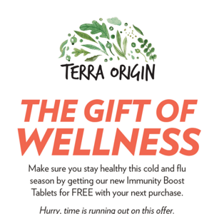 Give Your Immune System A Gift