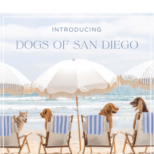 New: Dogs of San Diego