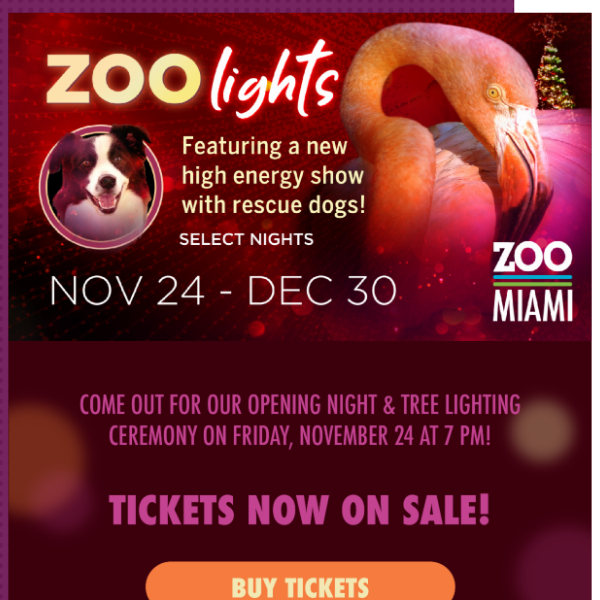 Zoo Lights Opens on November 24!