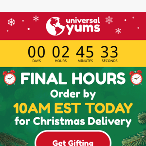 🚨 3 Hours Left for Holiday Delivery! 🚨