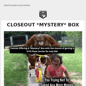 Closeout *MYSTERY* BOX! Chance To Get A Vakarian Plate Carrier!