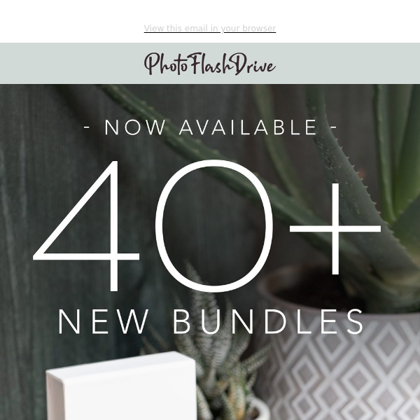 😲 40+ NEW Bundles now available!