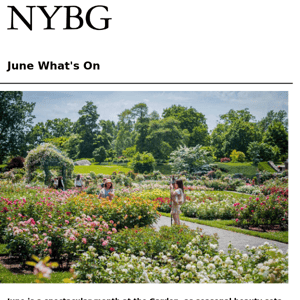 June What's On