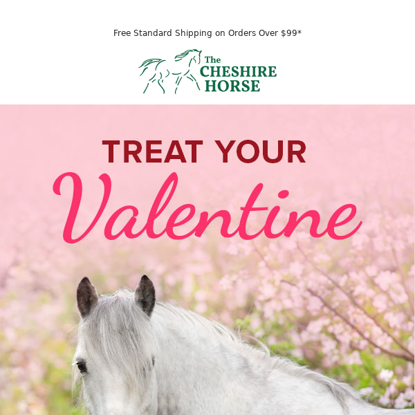 Valentine’s Day Gifts for Horses & Horse Lovers