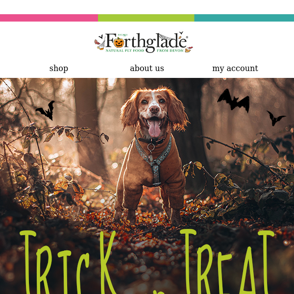 Trick or Treat 🎃 Enjoy a FREE Halloween gift