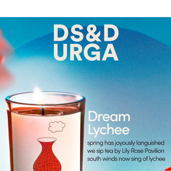 Introducing DREAM LYCHEE