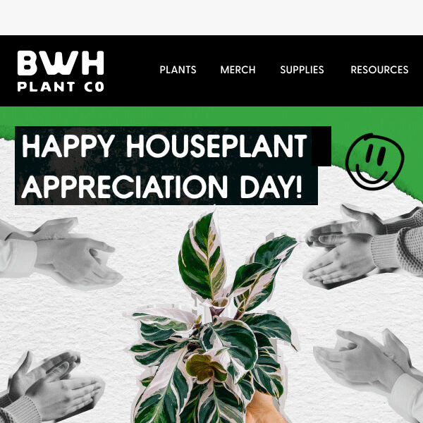 Happy Houseplant Appreciation Day!