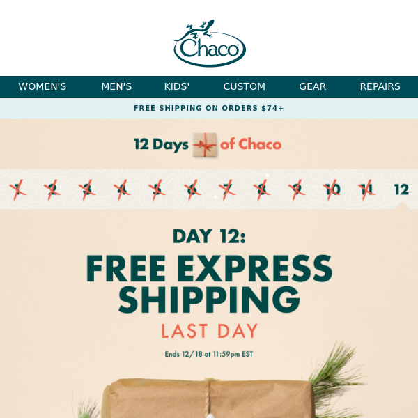 Free Express Shipping 🎁