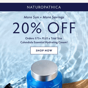 20% OFF Sitewide + A Gift