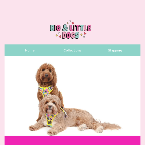 Hey Bruce -  DOG STRAP HARNESS: Tie Dye For {FINAL SALE} is now on sale!