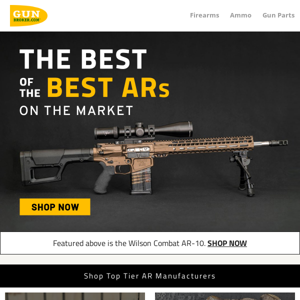 The Best of the Best ARs on the Market