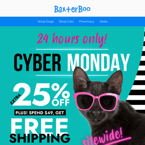 🔵 CYBER MONDAY 🔵 GET AN EXTRA 25% OFF, PLUS FREE SHIPPING OVER $49!