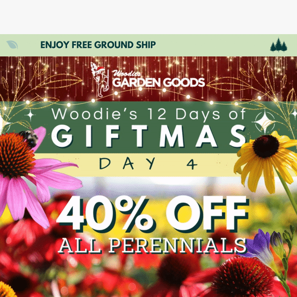 40% OFF ALL PERENNIALS: TODAY ONLY!🌸🌷🌼