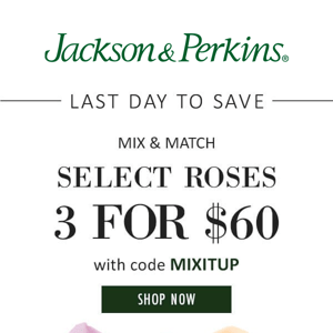 Last Day to Mix & Match $20 Roses