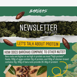 NEWSLETTER: Let's talk about protein!💪