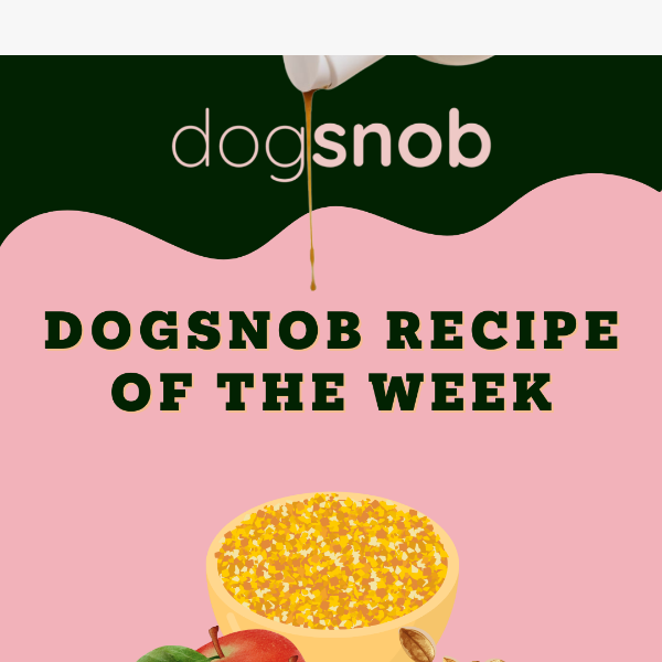 Dogsnob Recipe of the Week! 🦴🐾