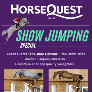 Show Jumping Special ✨