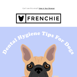 Dental Hygiene Tips For Dogs!🐶