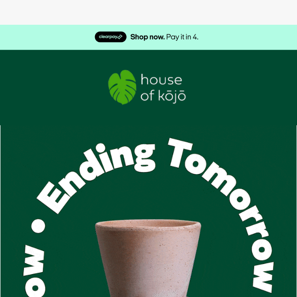 House Of Kojo get 2-for-1 this weekend 🌱