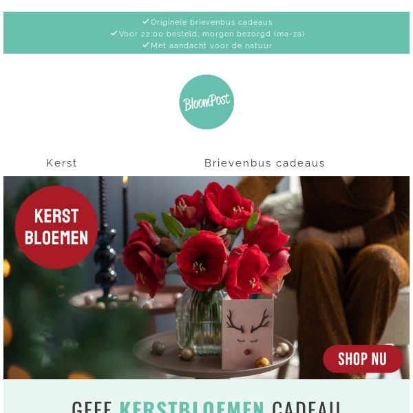 ✨ Maak indruk met onze kerstbloemen per post