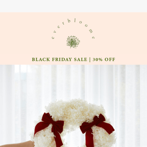 Black Friday Sale is here | 30% Sitewide