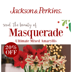 Take 20% OFF Amaryllis and All Gifts