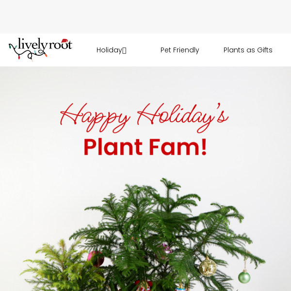 Happy Holidays From The Lively Root Team! 💚